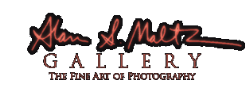 Alan S Maltz Gallery